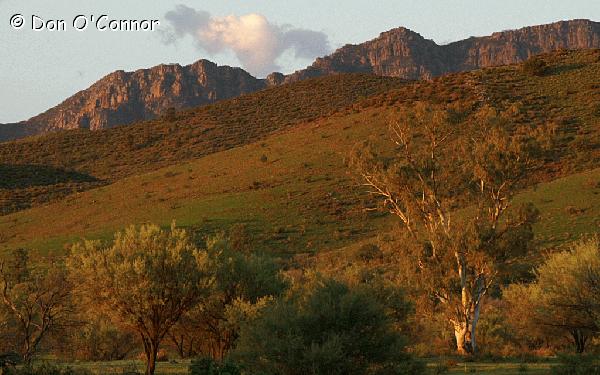 Moralana Scenic Drive, Flinders Ranges.