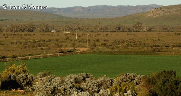 Flinders Ranges farmland.