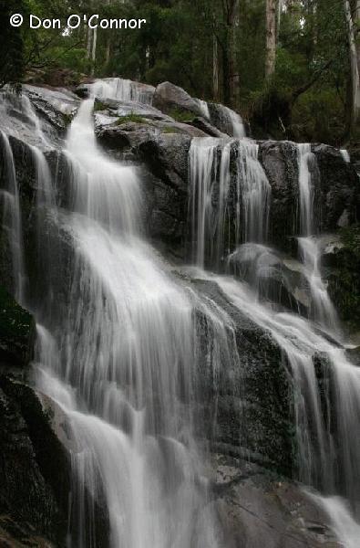 Toorongo Falls.