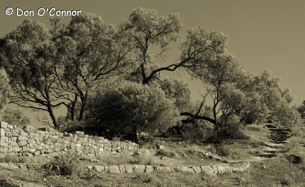 Aroona Ruins, Flinders Ranges.