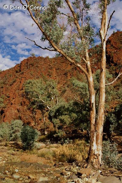 Hell's Gate, Northern Flinders Ranges.