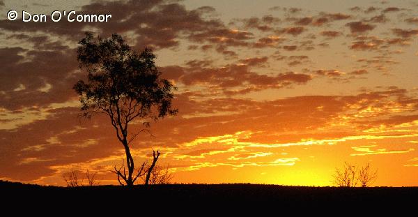 Sunset in the Henbury Meteorites Conservation Reserve.