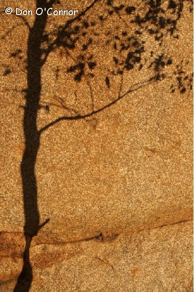 Abstract shadow at Devil's Marbles.