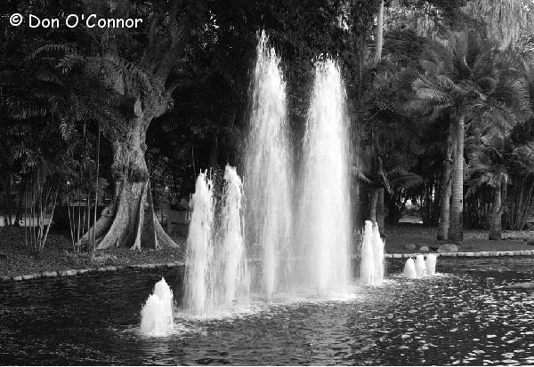 Darwin Botanic Gardens fountain.