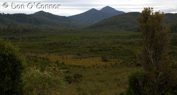 Tasmania's south west wilderness.